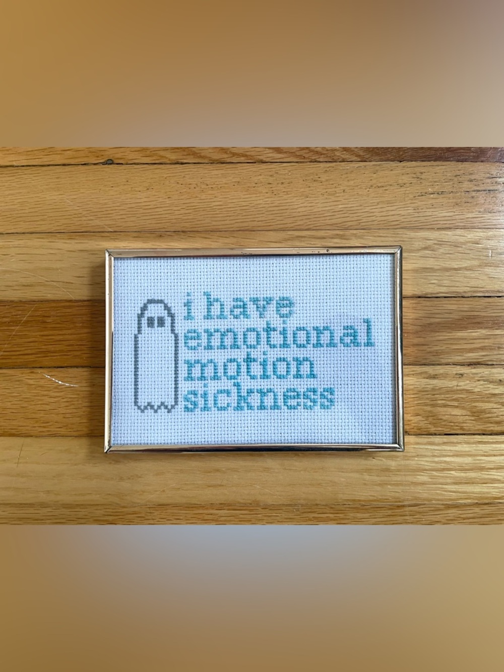 Framed Cross-Stitch: Phoebe Bridgers Lyrics